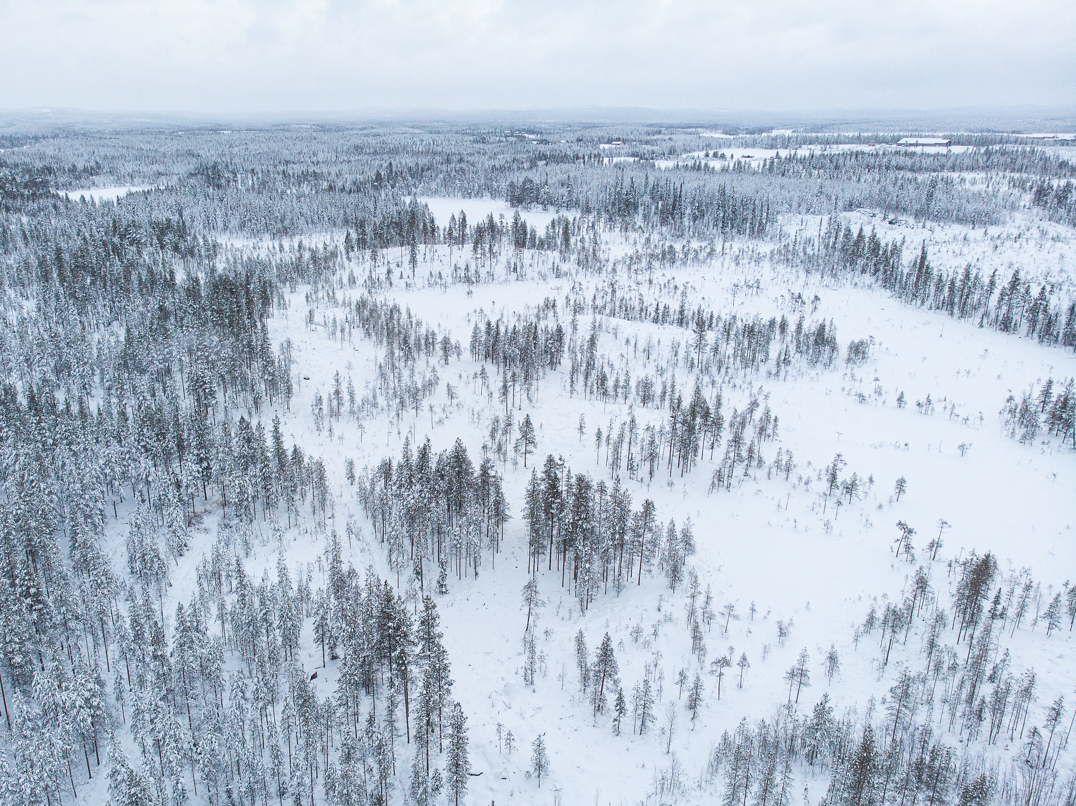 Suuressa osassa Koillismaata on routaa vasta 10–20 senttiä – pakkaset kiihdyttävät maan jäätymistä, josta on hyötyä ja haittaa