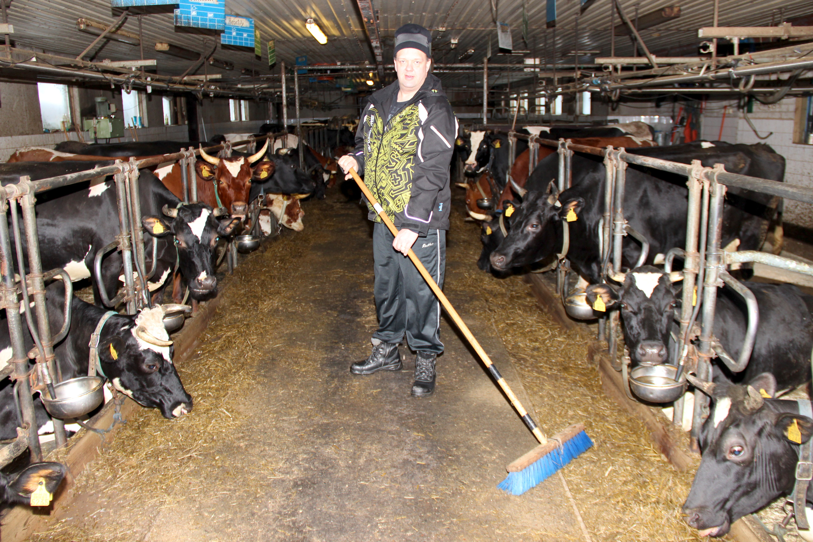 Pudasjärvi tuottaa poronlihaa yli oman tarpeen, sillä kaupungissa on enemmän poroja kuin ihmisiä. Lisää teurastettavaa Jyrkkäkosken teurastamolle sopisi. Lammastakin menee jo läpi, mutta nautapuolen byrokratian purkutalkoissa olisi vielä kehitettävää.