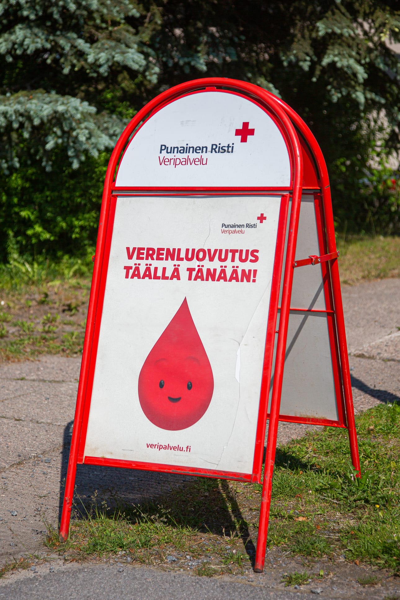 Verenluovutukseen on hyvä varata aikaa puolesta tunnista tuntiin. Veripussi täyttyy 5–10 minuutissa.