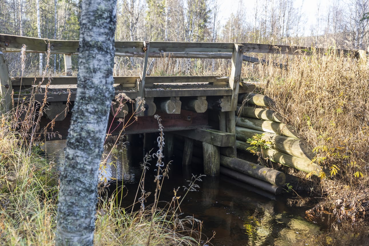 Meskusjärventiellä on Juomajoen ylityksessä puusilta, jota on vahvistettu teräspalkeilla.
