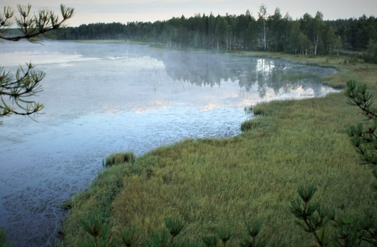 Ennusteen mukaan säätyypissä ei näytä tapahtuvan suurta muutosta vielä ensi viikon alkupuolella, mutta ensi viikon loppupuolella on viitteitä korkeapainevoittoisemmasta ja aavistuksen lämpimämmästä säästä ainakin maan eteläosassa.