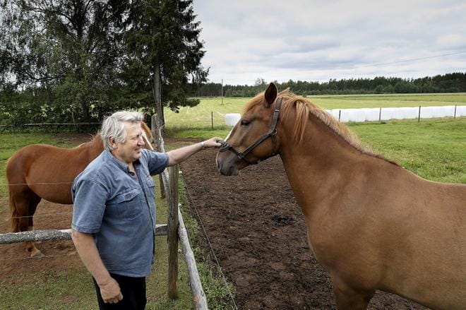 Kari Viitala on kasvattanut vuosikymmeniä suomenhevosia. Kasvateista on tarkoitus tulla ravureita, mutta kaikki hevoset eivät päädy raviradoille saakka. KUVAT: HEIKKI HAKANEN