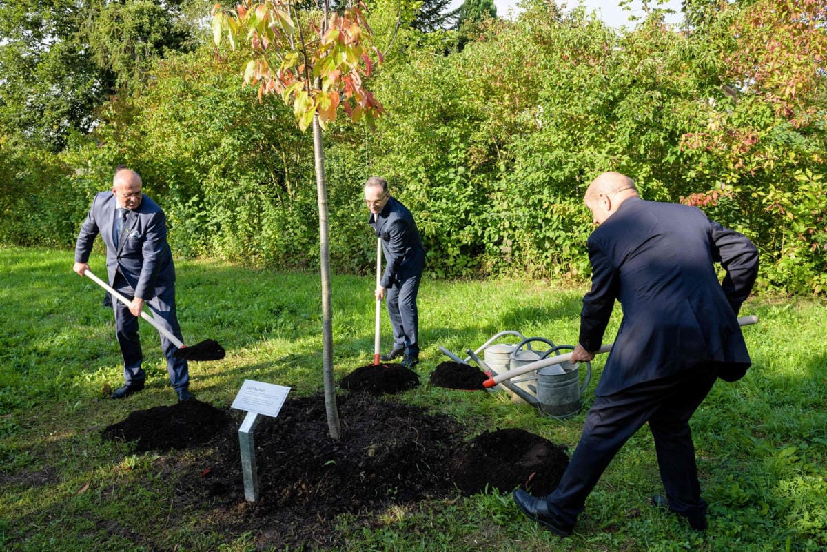 Puolan ulkoministeri Zbigniew Rau (vas.), Saksan entinen ulkoministeri Heiko Maas (kesk.) ja Ranskan entinen ulkoministeri Jean-Yves Le Drian (oik.) istuttamassa puuta Buchenwaldin keskitysleirin luona. Arkistokuva. LEHTIKUVA/AFP