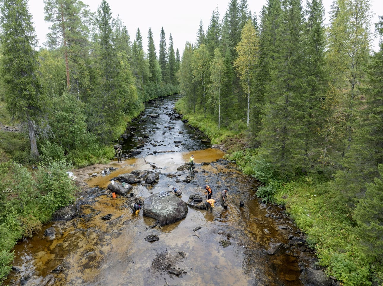 Hukkajokea puhdistettiin Suomussalmella 23. elokuuta 2024. Sitä ennen raakkuja eli jokihelmisimpukoita oli siirretty turvaan puhtaaseen veteen ympäristövahingon jäljiltä. LEHTIKUVA / HANNU HUTTU