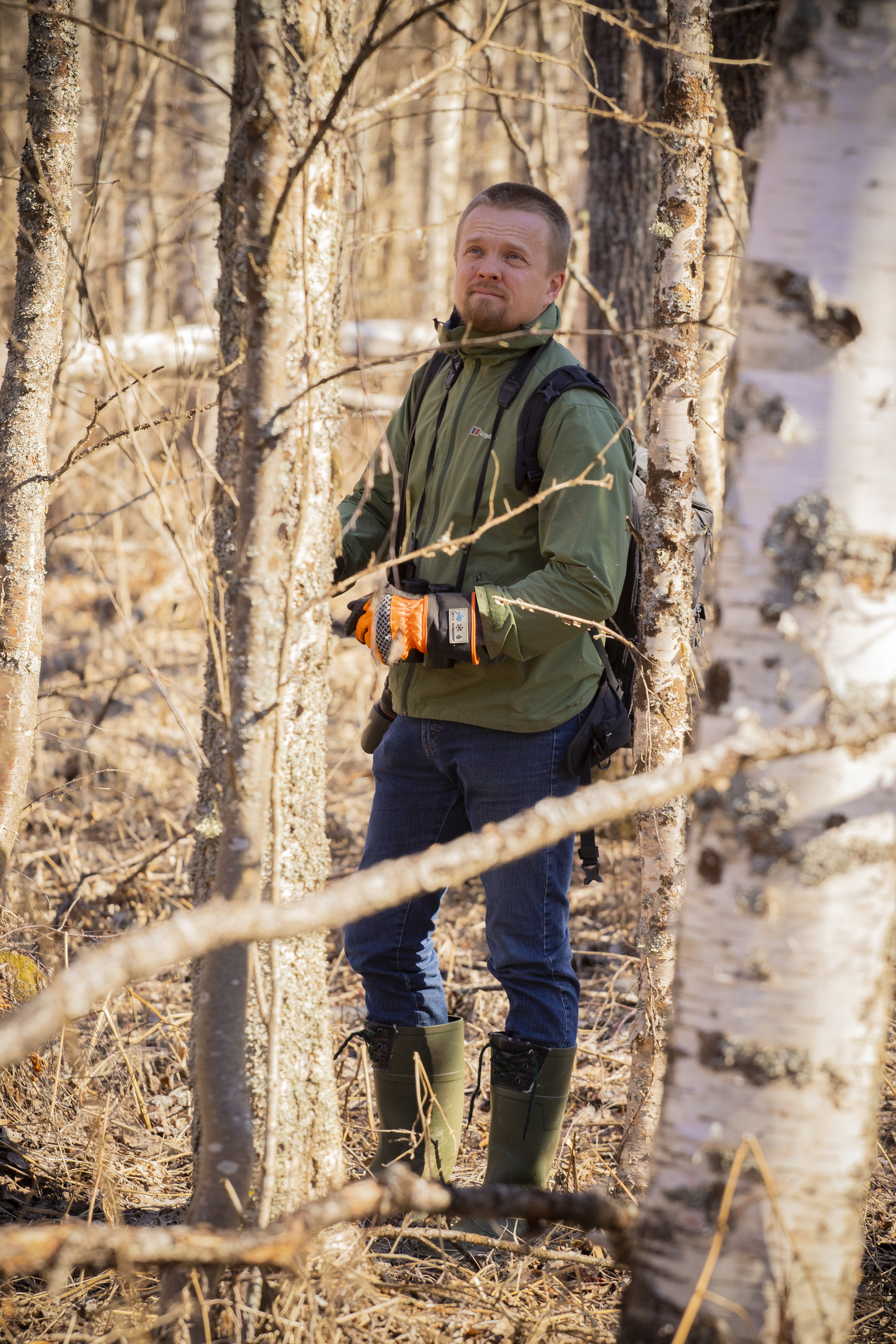 <p>Tutkija ja lintuharrastaja Ari-Pekka Auvinen on seurannut jo vuosia Pohjois-Pohjanmaan valkoselkätikkakantaa. Tikkapariskuntia on pesinyt Lumijoella ja Oulunsalossa. Oulunsalossa valkoselkätikka pesii jo neljättä kesää.</p>
