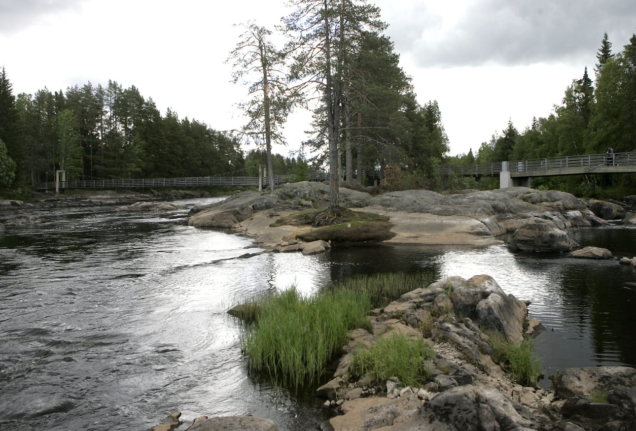 Kuva Koitelinkoskelta.