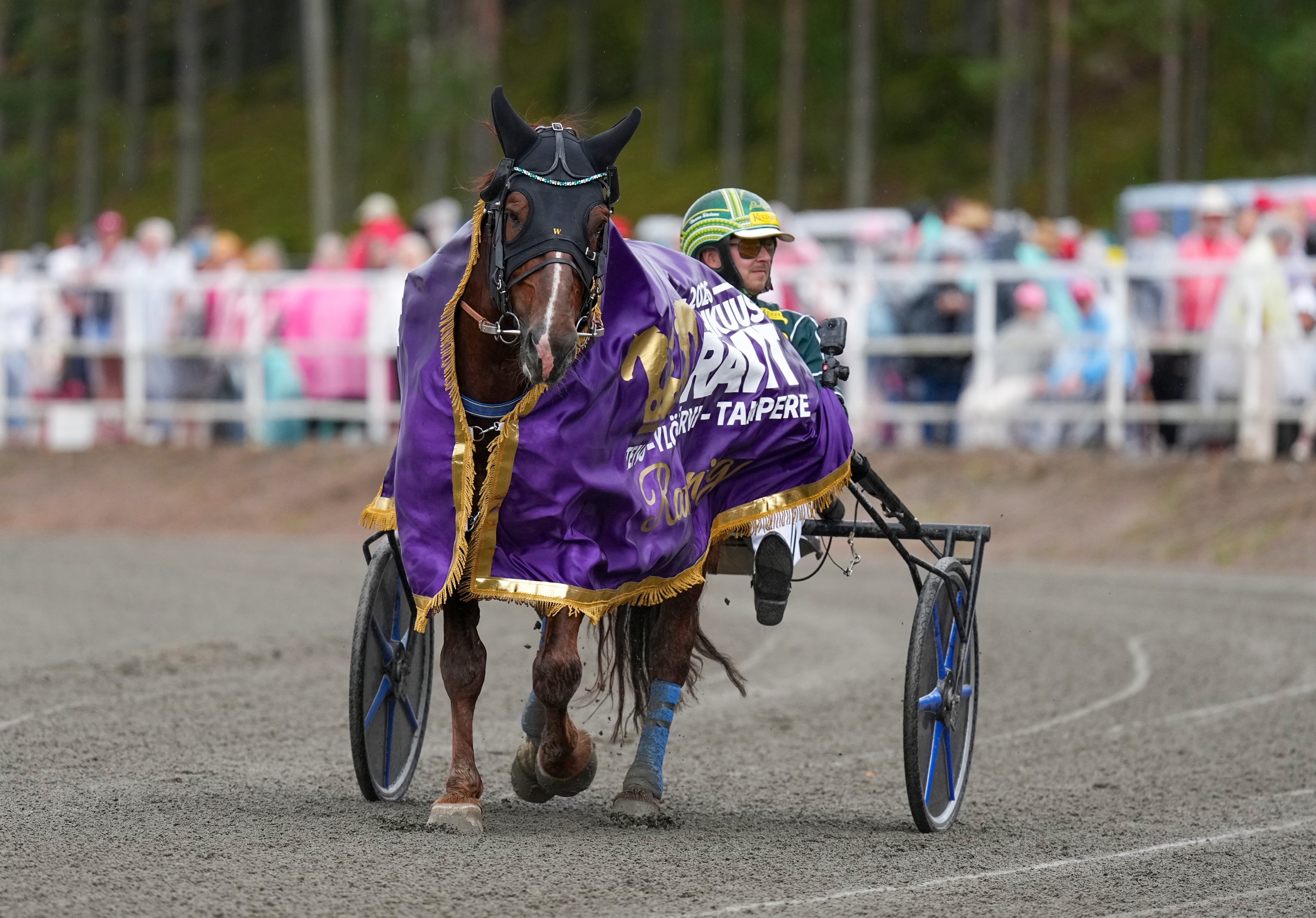 Jockas Rita on jälleen Teivon kuninkuusravien ravikuningatar, Pro voitti kuninkuuskilpailun