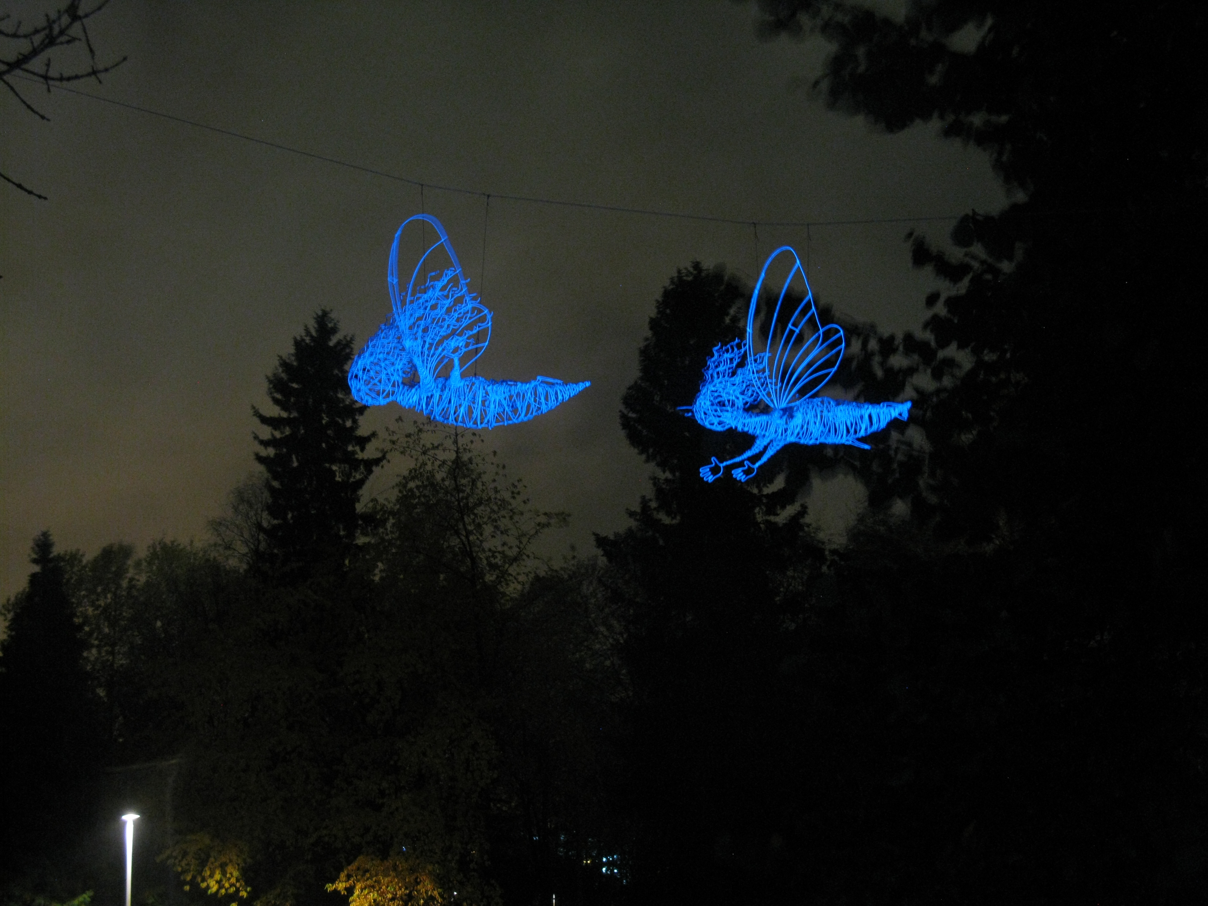 Alexander Reichsteinin teos Metamorphoses – Muodonmuutoksia.