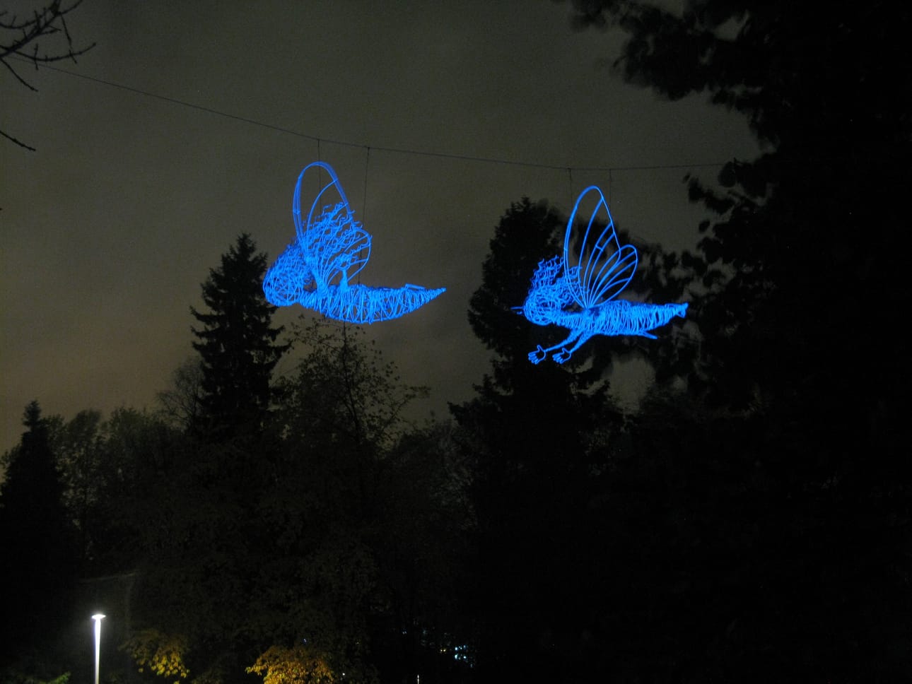 Alexander Reichsteinin teos Metamorphoses – Muodonmuutoksia.