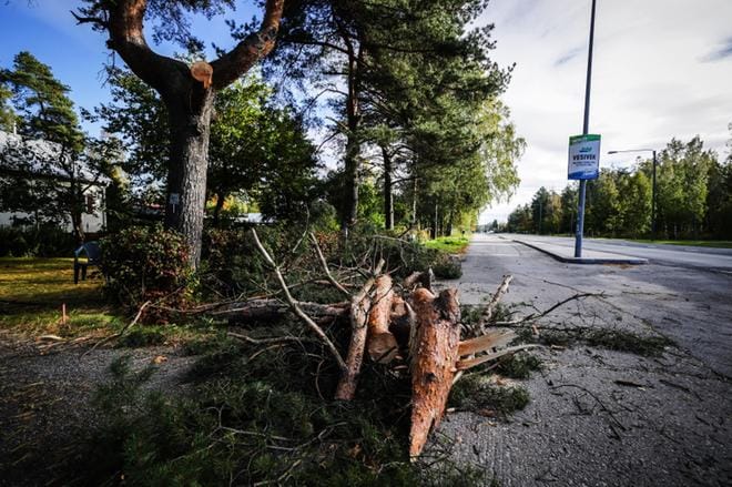 Isosta männystä oli irronnut suuria oksia Huutoniementiellä. Ne olivat tippuneet pyörätielle. KUVAT: MAIJA SAANIO