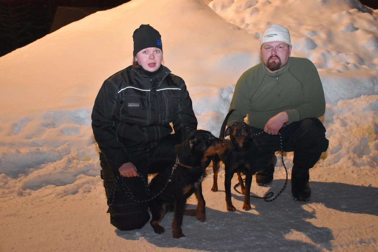 Viitasaarelta ketunpyyntiin Posiolle tulleet, metsästystä harrastava pariskunta, Riikka Rekonen ja Tomi Masalin saksanmetsästysterrieriensä kanssa.