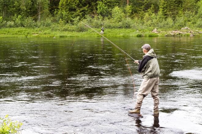 Kannuslainen Markku Roikola kalasti viime kesänä lohia Simojoella. Kuva: Pentti Vuosaari