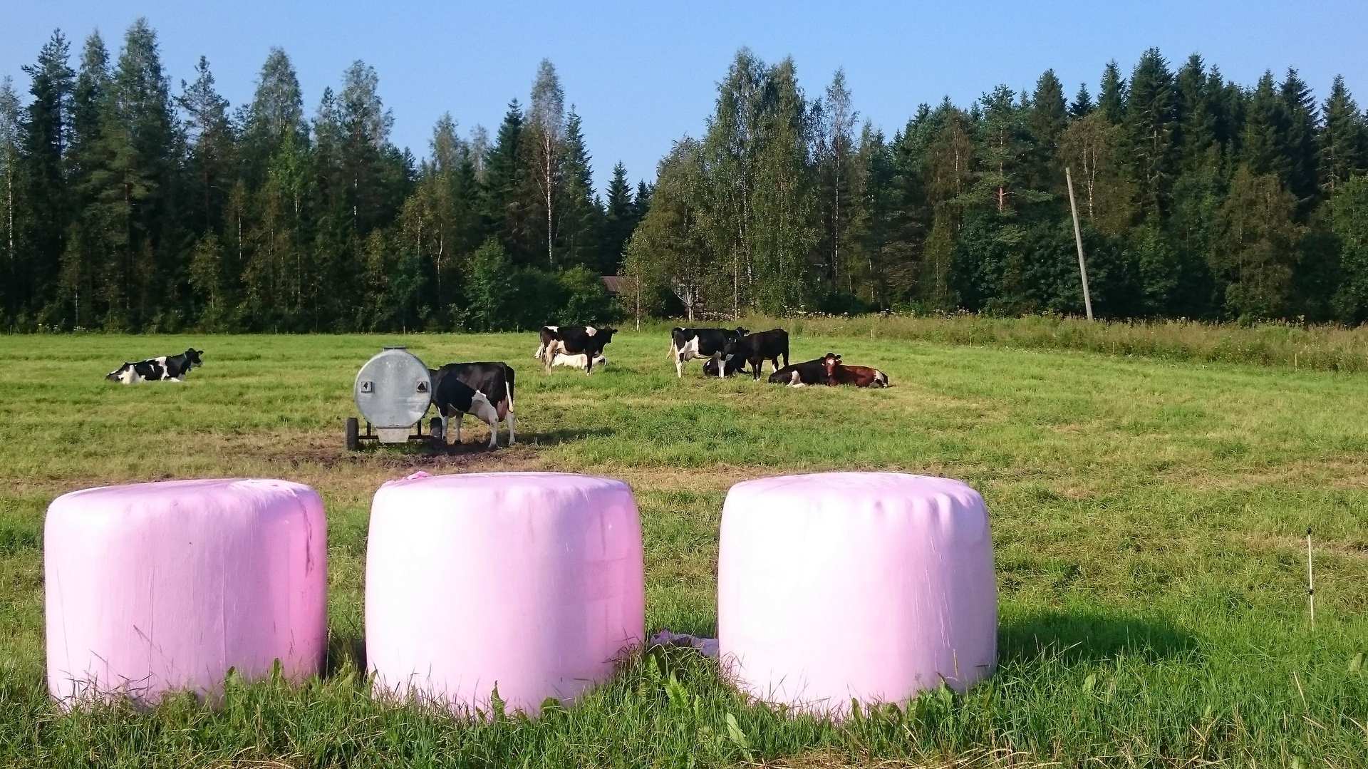 Kahdeksaa yritystä ja kolmea hanketta halutaan kehittää Leader-tuella