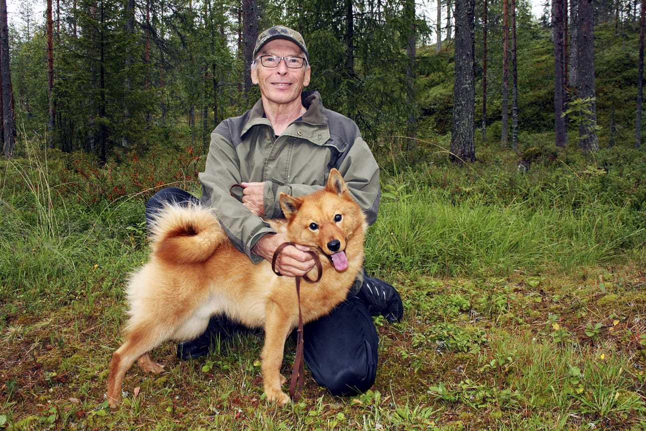 Martti Loukusa totuttaa runsaan vuoden ikäistä suomenpystykorvaa Jeppeä metsästyskaveriksi. Koira hankittiin Loukusoille pentuna Kuivaniemeltä. Jepen edeltäjä Vekku eli 12-vuotiaaksi.