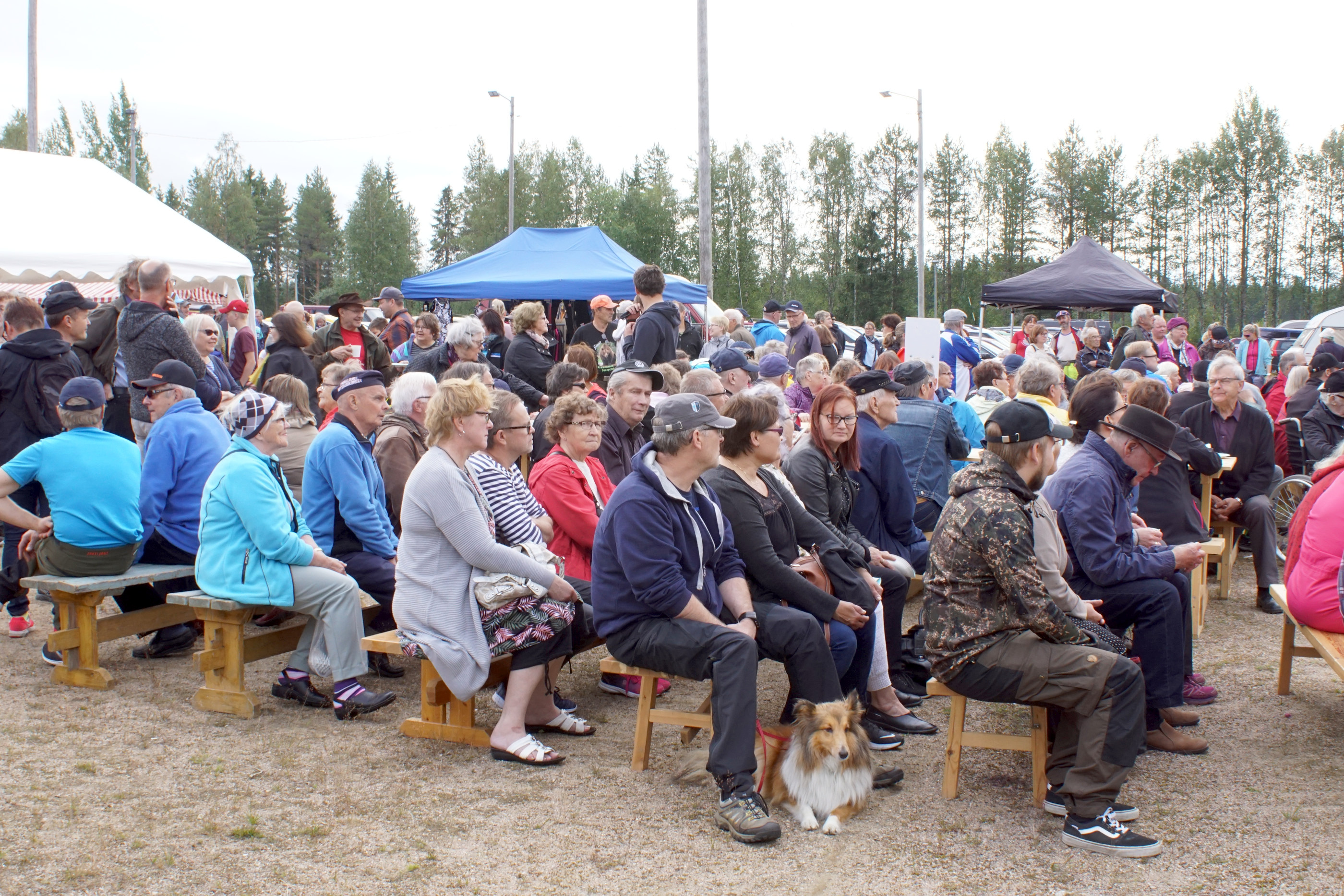 Vattumarkkinoilla oli viime lauantaina ja sunnuntaina runsaasti kävijöitä. Markkinoilla oli tarjolla monenlaista ohjelmaa niin torilla kuin koulun tiloissakin.