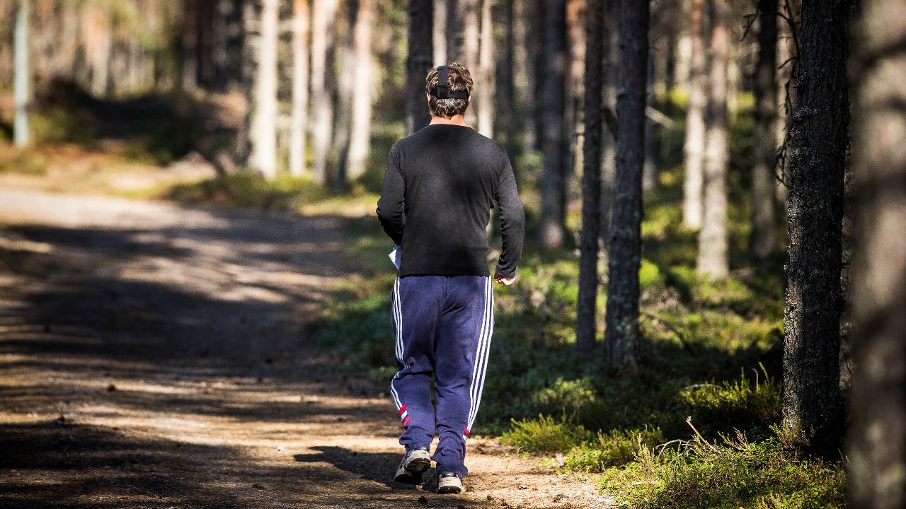 Suunnistus ei vie hukkaan