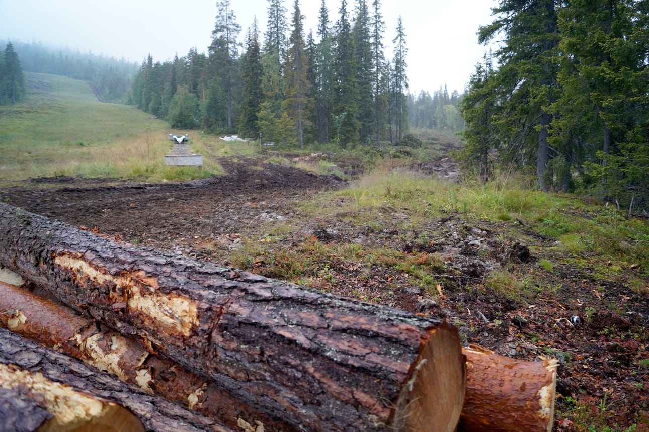 Rinnetyömaa lähti alkuun metsän hakkuulla.