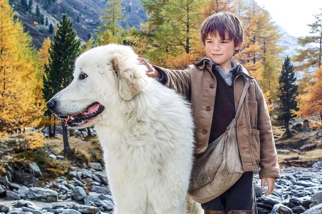 Koko perheen seikkailuelokuvassa 6-vuotias Sebastian-poika (Félix Bossuet) ystävystyy suuren valkoisen Belle-koiran kanssa. KUVA: Eric Travers/Yle Kuvapalvelu