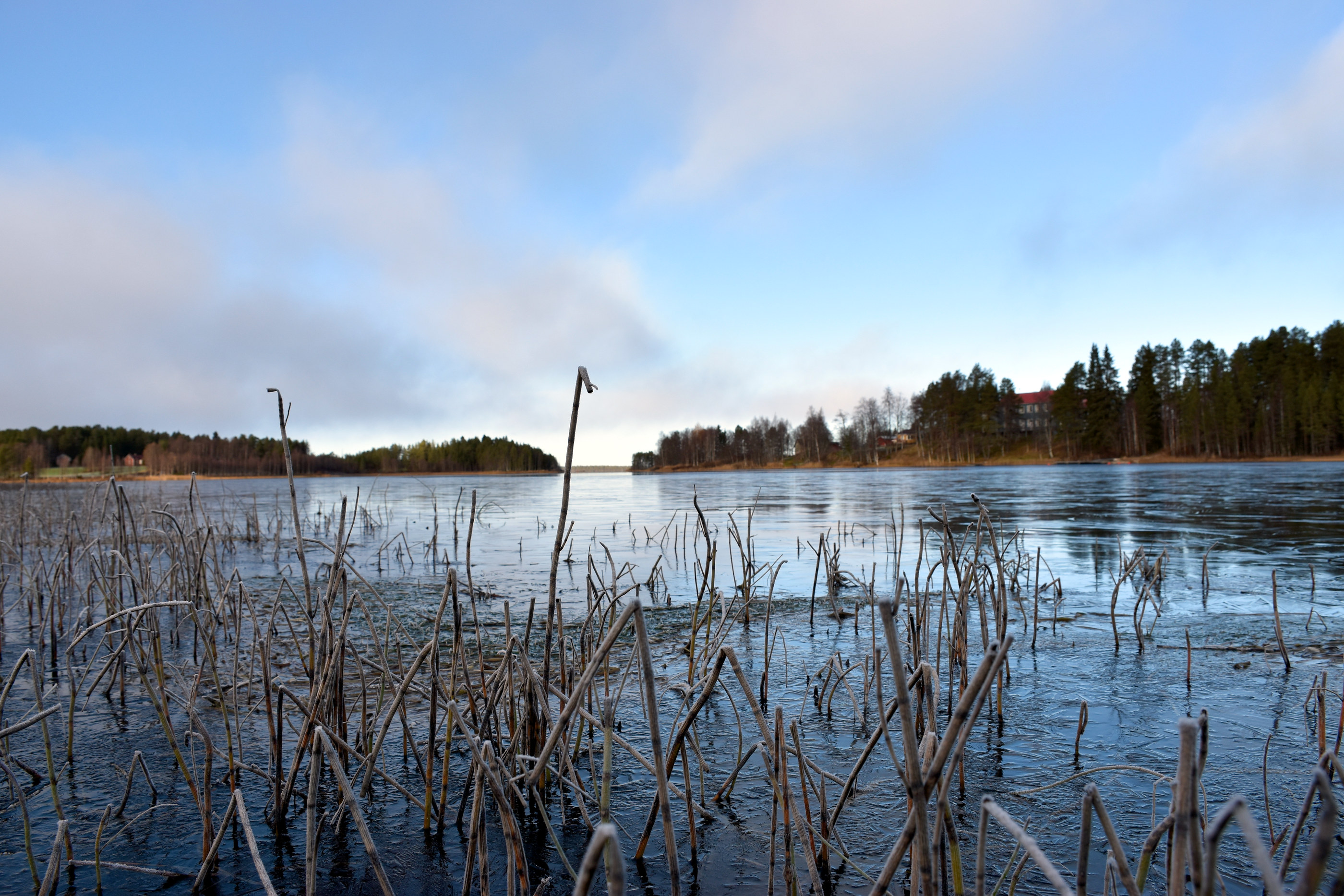 Pienten järvien ja lampien lahdet ovat saaneet Koillismaalla viime päivien yöpakkasilla vasta ohuen jääkannen. Kuva on otettu tiistaina Posionjärven kirkkolahdelta.