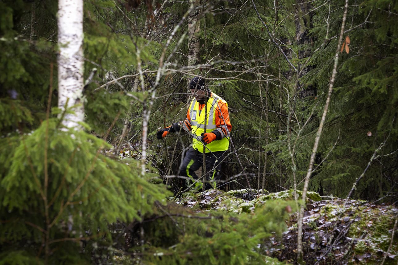 Mika Seppi osallistui perjantaina etsintöihin. Hän oli mukana ryhmässä, jonka tehtävä oli tarkastaa metsikkö tien ja junaradan välistä. Alue on Laihian puolella, sillä katoaminen tapahtui lähellä kunnanrajaa.