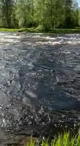 Kalakisa