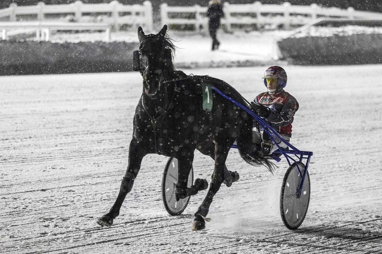 Kemijärven No Limit Royalty voitti viime vuonna 15 lähtöä. Tämän kauden kuparinen rikkoutui Mäntyvaarassa Mauri Jaaran ajamana.
