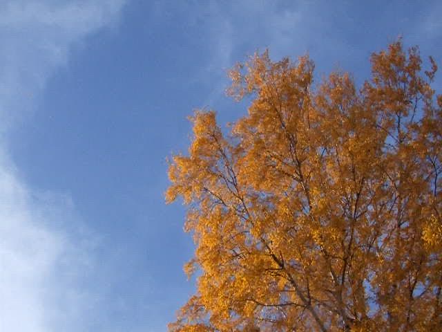 Parvekkeelta kuvattu