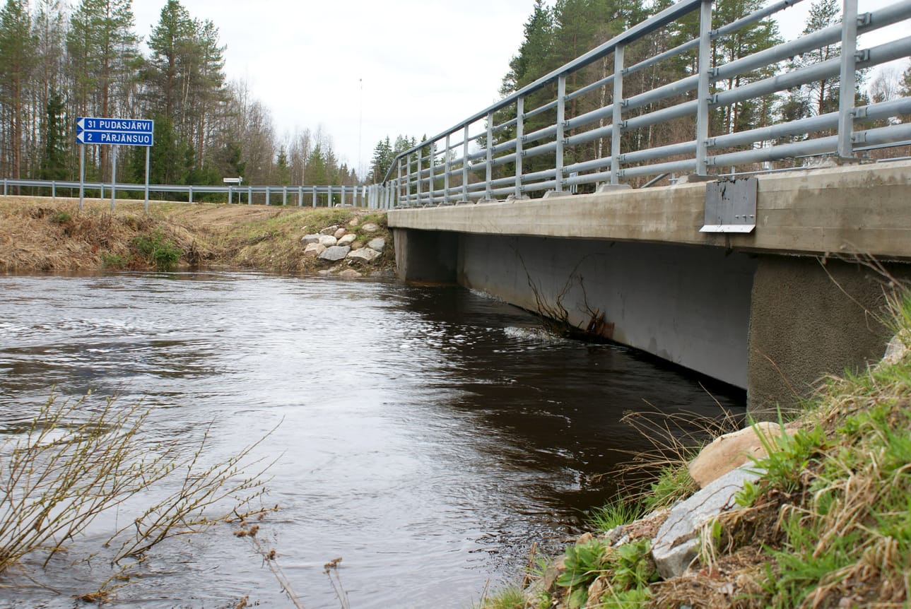 Pärjänjoki hipoo siltaa. Veden voima oli irrottanut myös suuren puun juurineen virran vietäväksi.