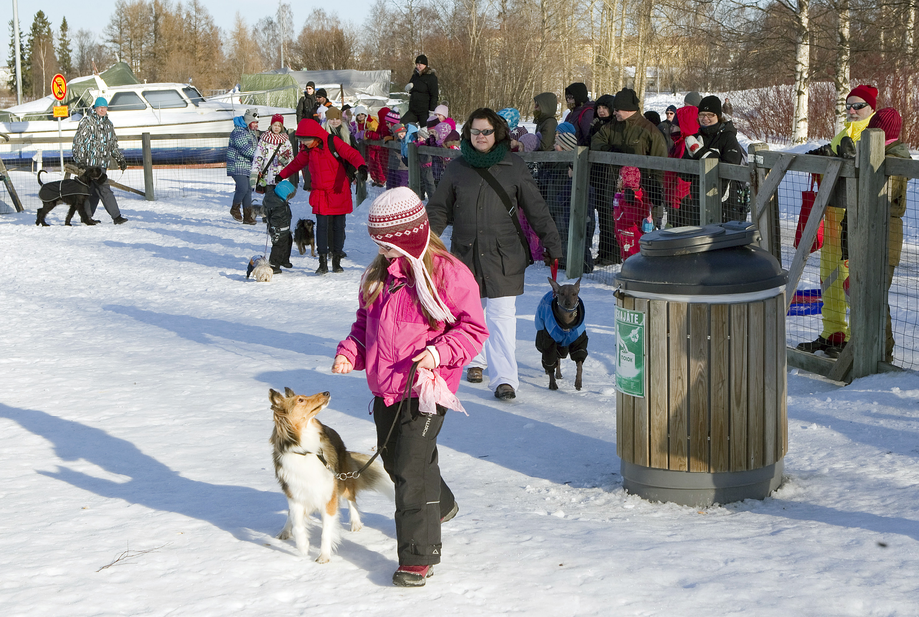 Jokainen koira sai raikuvat aplodit – olihan tuomaristona ihmisiä, jotka rakastavat kaikkia koiria.