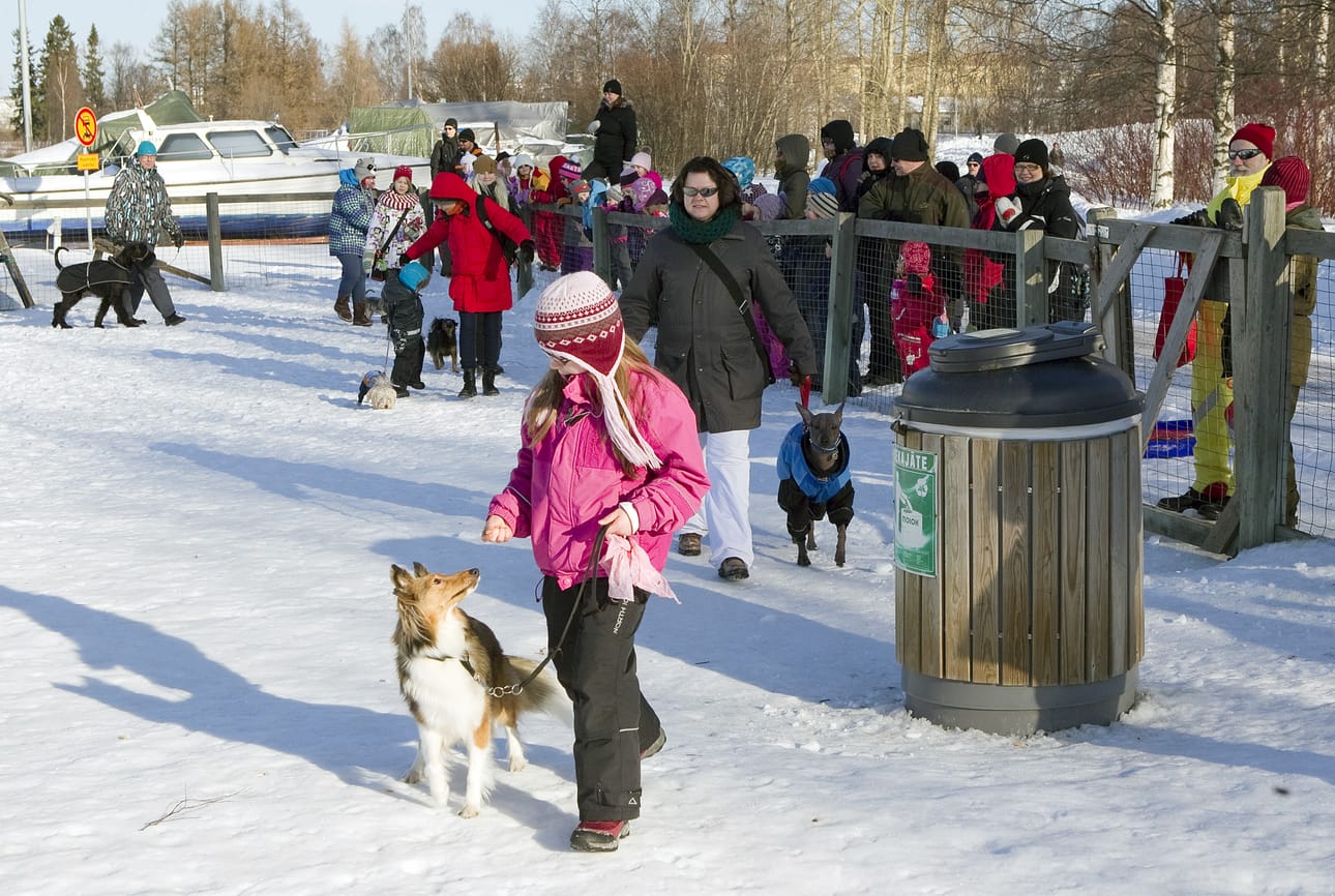 Jokainen koira sai raikuvat aplodit – olihan tuomaristona ihmisiä, jotka rakastavat kaikkia koiria.