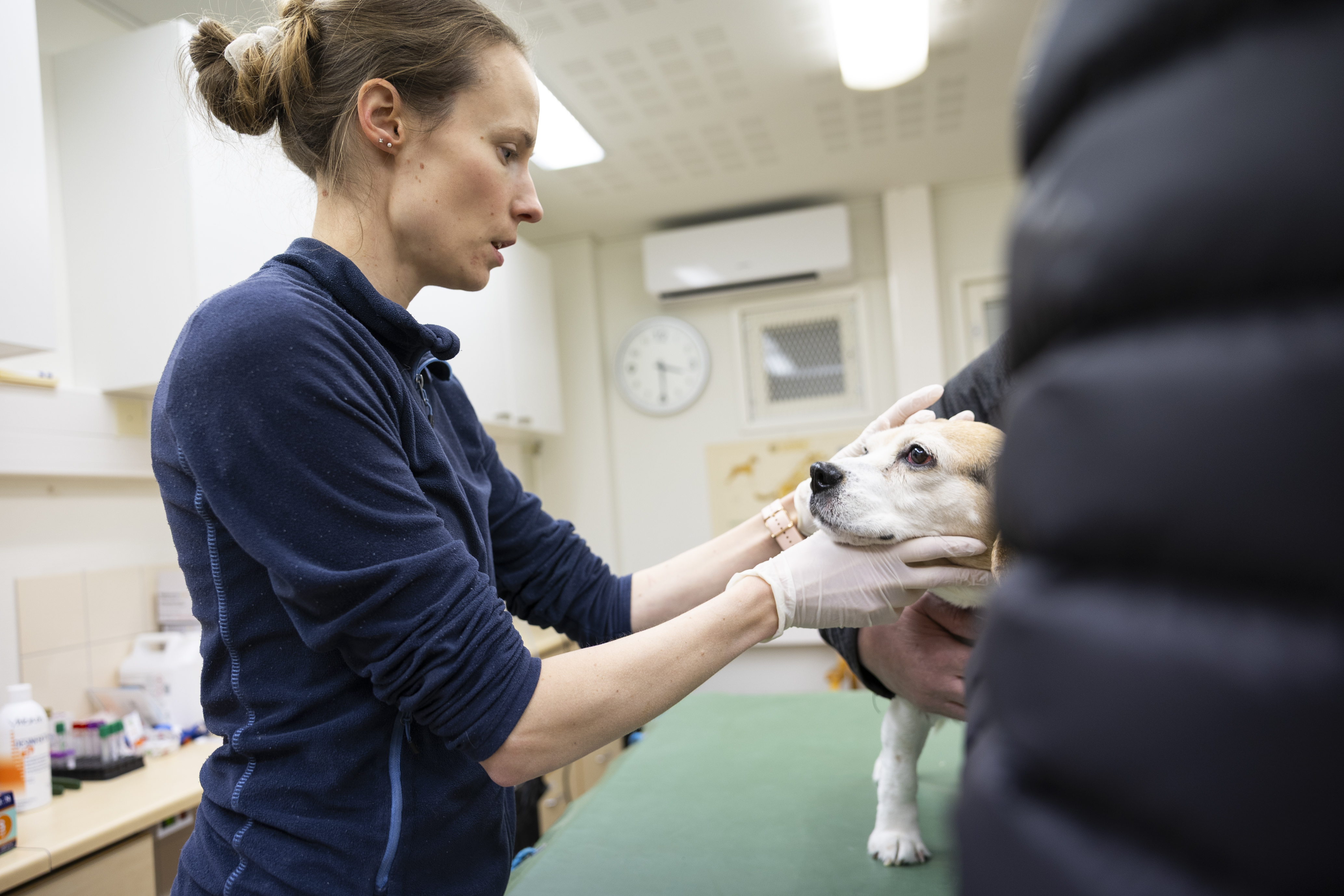 Kurikan ympäristöterveyspalvelujen eläinlääkärien virkoihin vain yksi hakemus