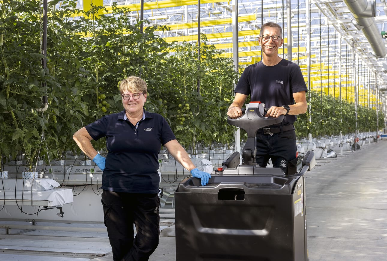 Marika ja Stig-Erik Vikars tietävät kuinka tomaatteja pitää viljellä.