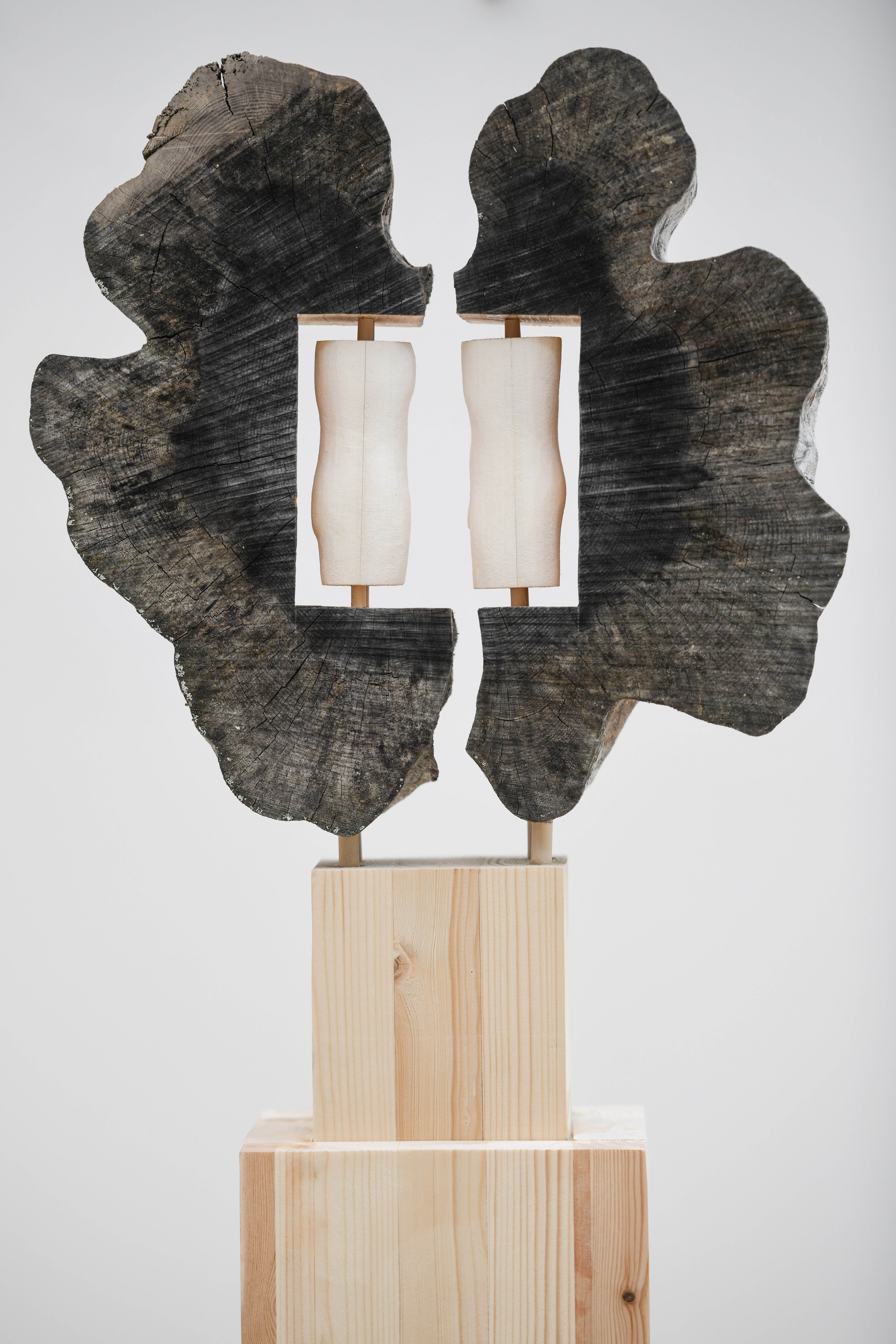 <p>– Näin heti, että tuossa on selvä taideteos, Seppo Koutaniemi kertoo löytämästään puunpalasta, josta tuli sittemmin veistos nimeltään ”Elämän vuosirenkaat”.</p>