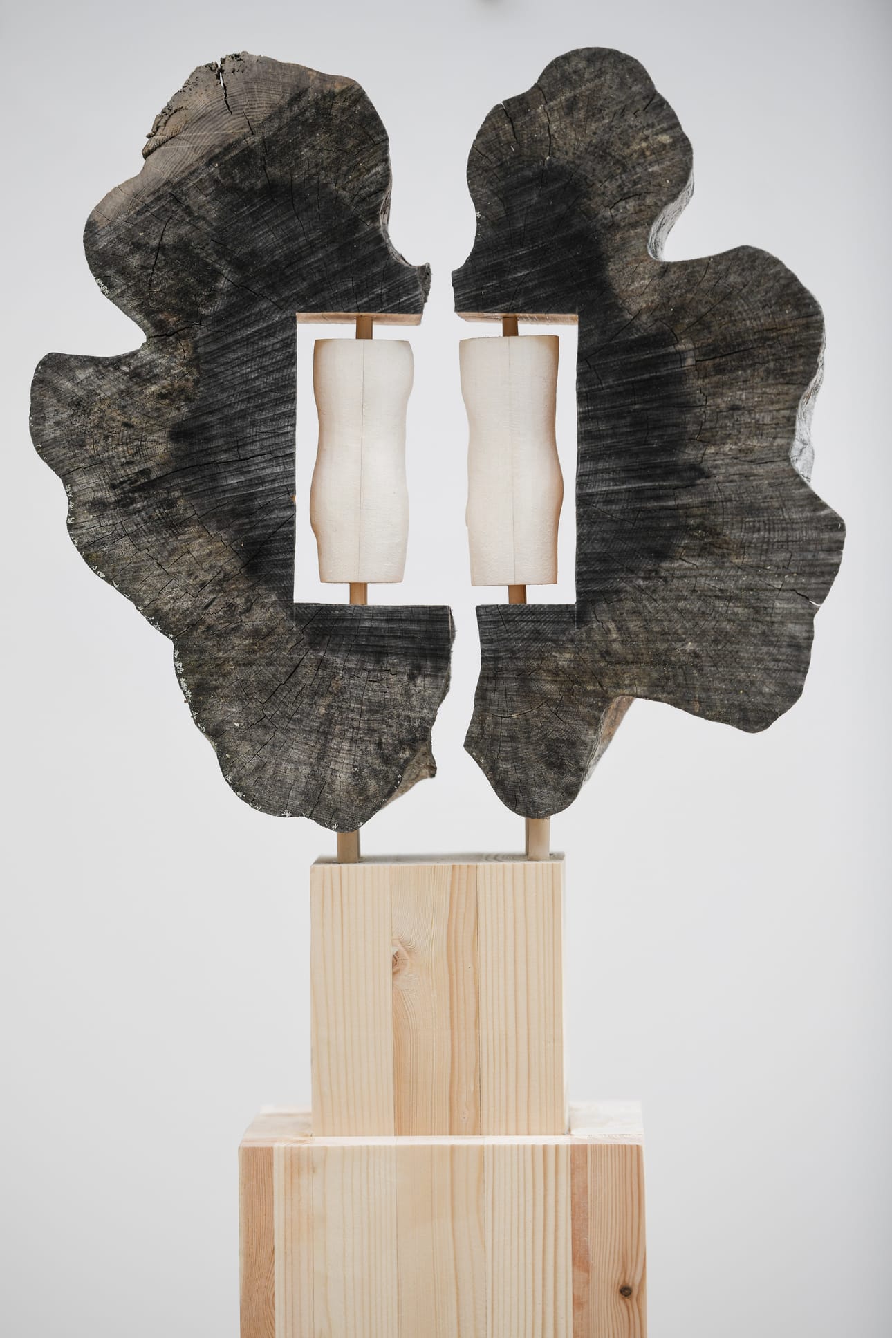 – Näin heti, että tuossa on selvä taideteos, Seppo Koutaniemi kertoo löytämästään puunpalasta, josta tuli sittemmin veistos nimeltään ”Elämän vuosirenkaat”.