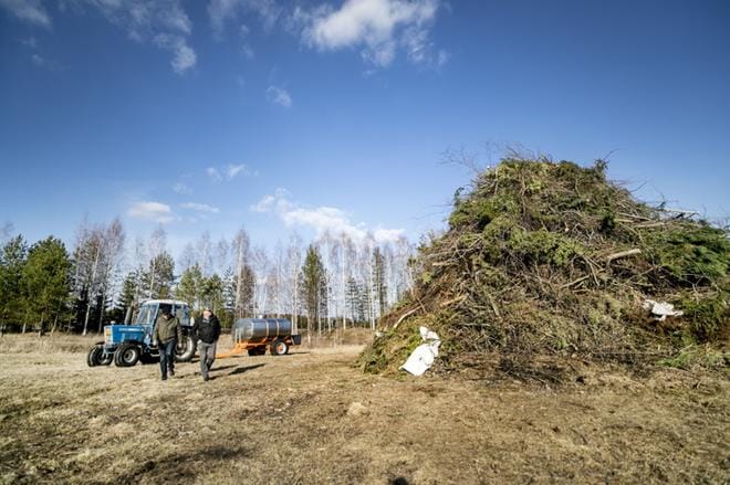 Ilmajoen Harjunpakan kokko on syntynyt täysin omatoimisesti syksyn, talven ja kevään aikana. KUVAT: KRISTA LUOMA