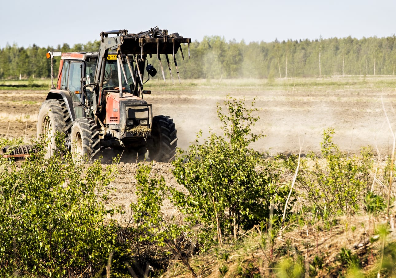Maa pölisee kuivuudesta vielä tämän viikon jälkeenkin, sillä viikonlopun mahdolliset heikot sateet eivät tuo helpotusta kuivuuteen.