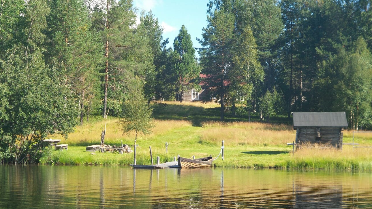 Kitkalainen rannassa