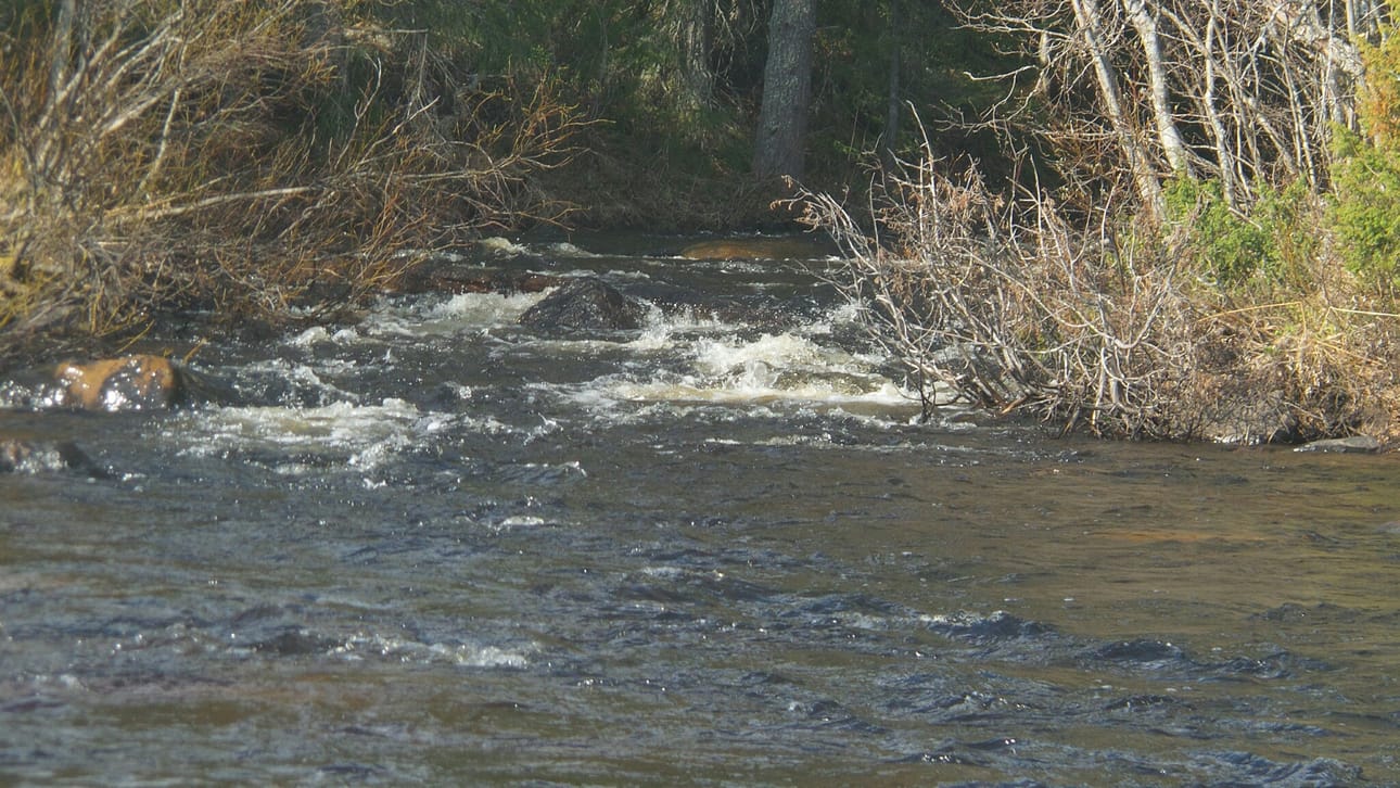 Kirintöjoki laskee Kitkajärveen
