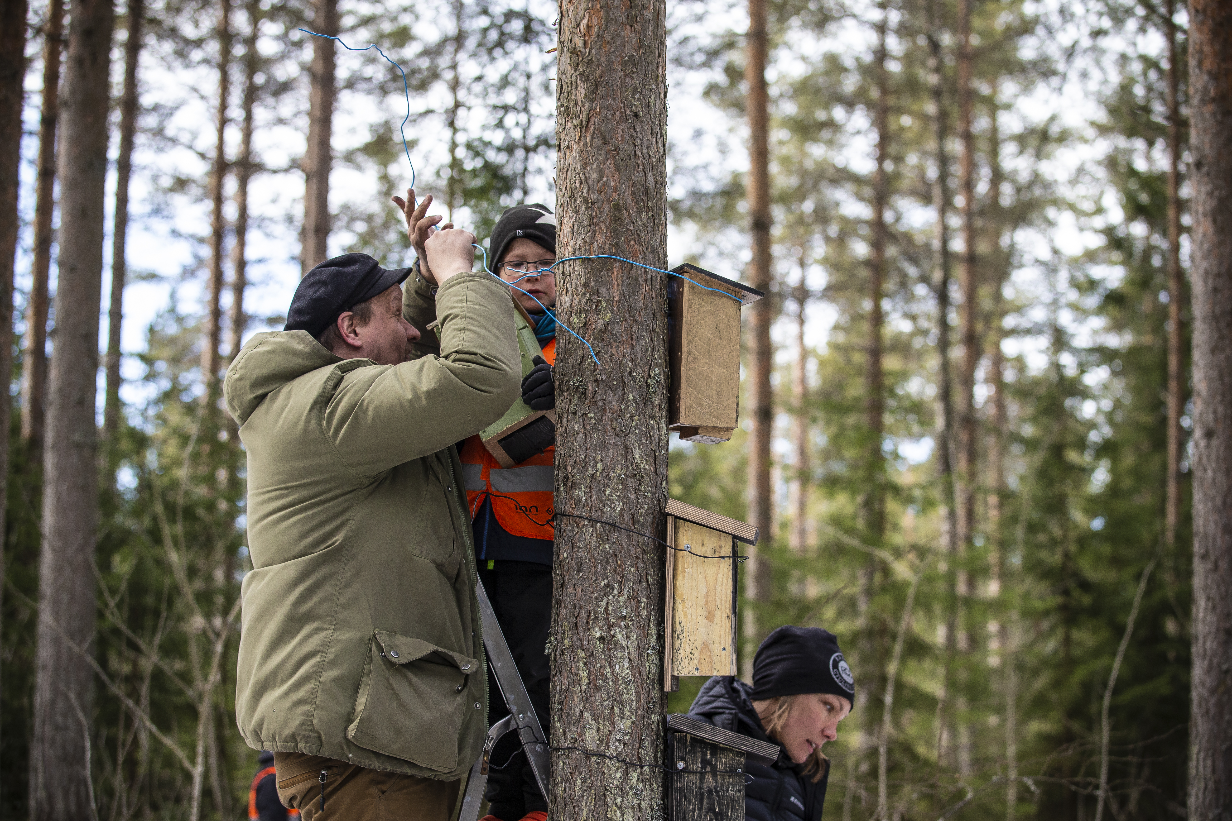 Raahen ulkoilmaeskari ripusti linnunpönttöjä.