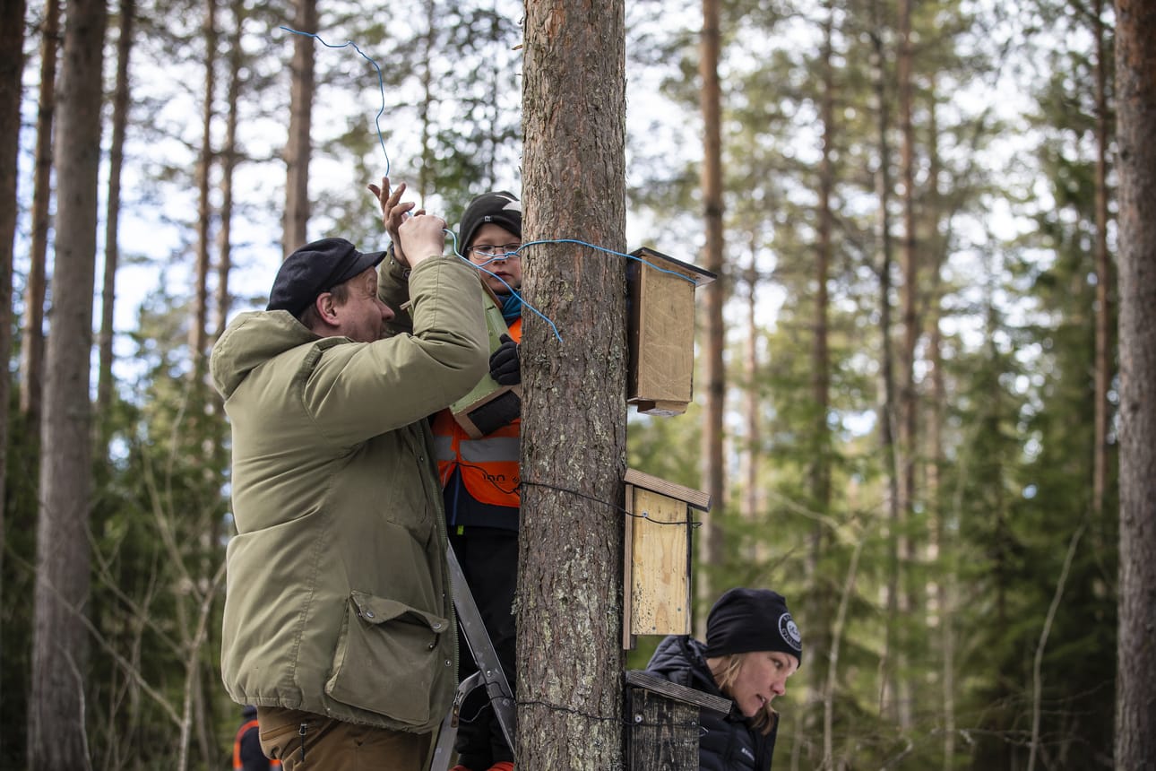 Raahen ulkoilmaeskari ripusti linnunpönttöjä.
