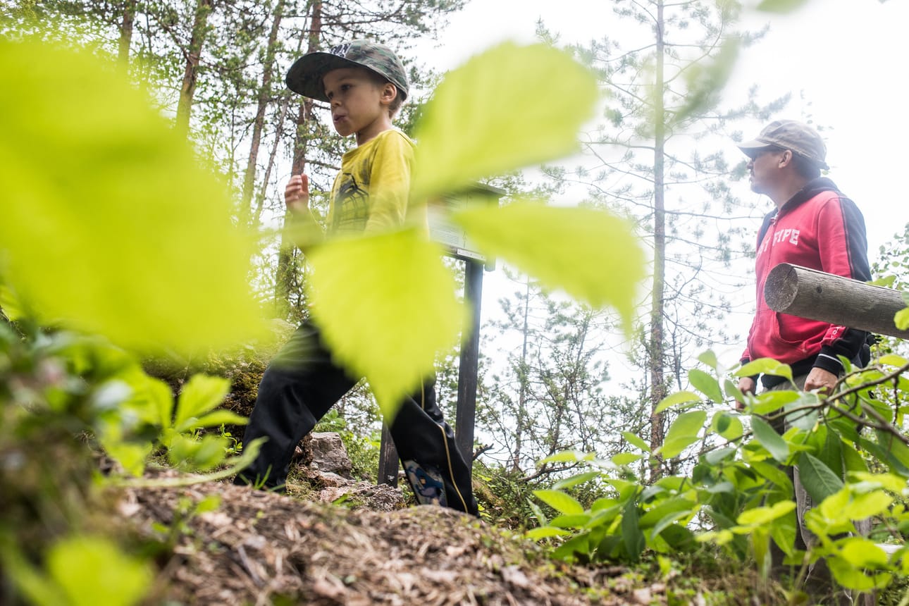 Villifestivaali houkuttelee lapsiperheitä Oulangan kansallispuistoon ja Valtavaaralle elokuussa.