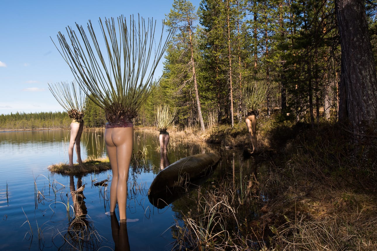 Taiteilija Urho Kähkösen tilataideseos seisoo jaloillaan lammessa.
