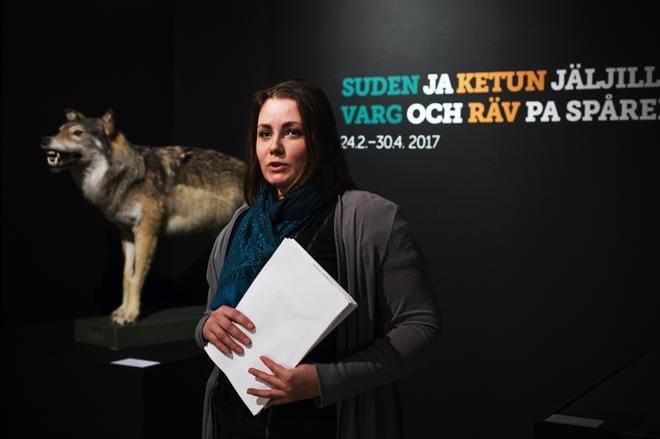 Pohjanmaan museon amanuenssi Magdalena Lindroos kertoo videohaastattelussa, miksi susi kiinnostaa niin paljon. Kuva: Jarno Pellinen