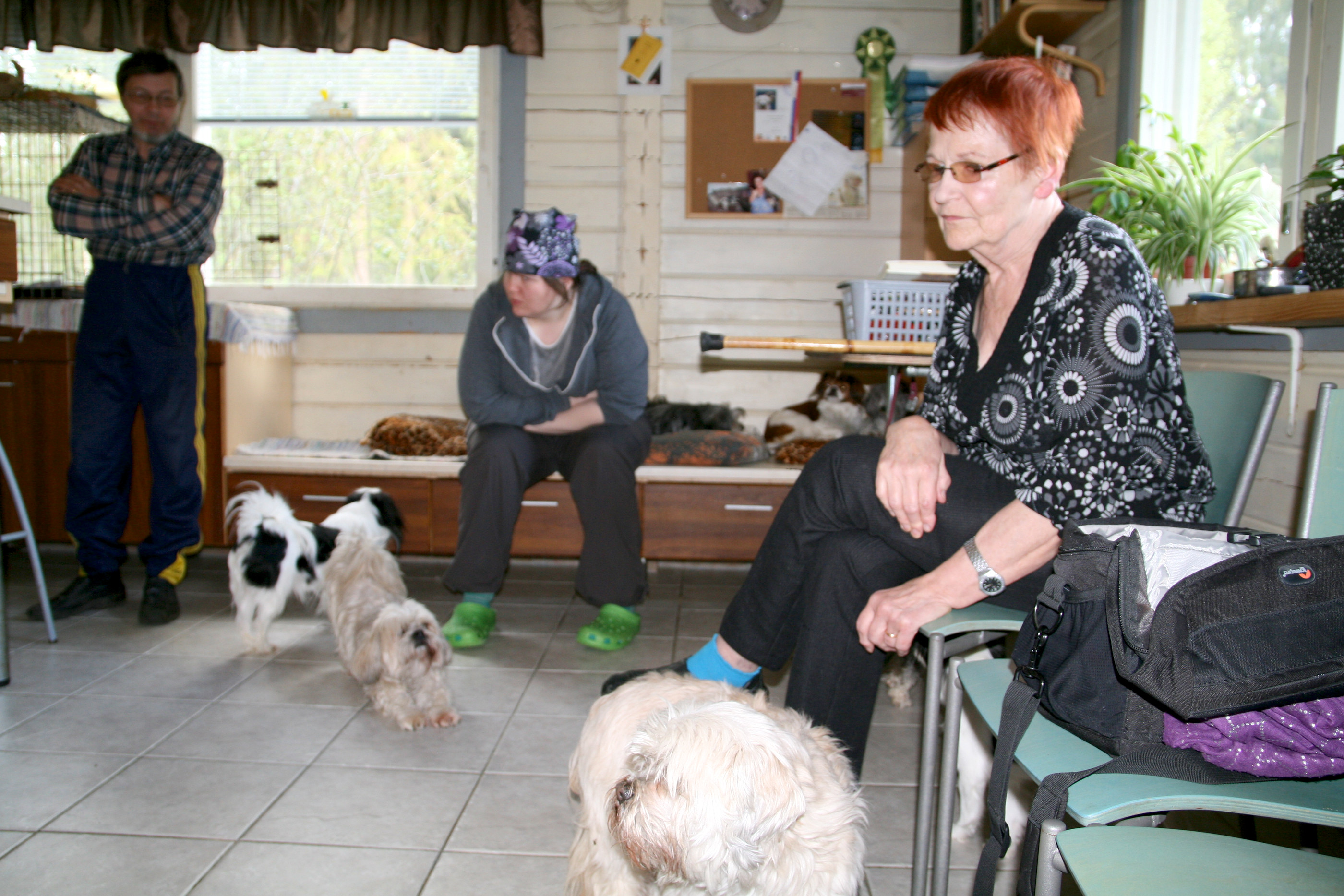 Marja Haataja-Piipari on aina elänyt koirien keskellä, ja myös tytär Pirita Haataja (taustalla) osallistuu koirien hoitoon.