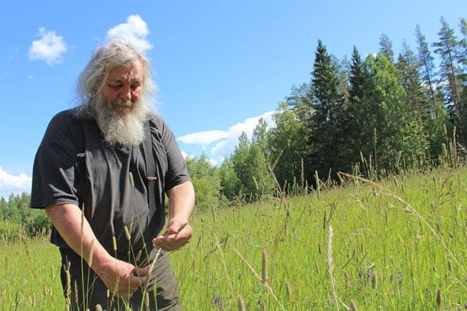 Päättyneenä kesänä vietettiin kautta aikain viimeistä Luomusa-tapahtumaa, ja juhlien aikaan sattui myös tapahtuman perustajan Klaus Lavilan 70-vuotispäivä. ARKISTOKUVA: REIJO HEIKKILÄ