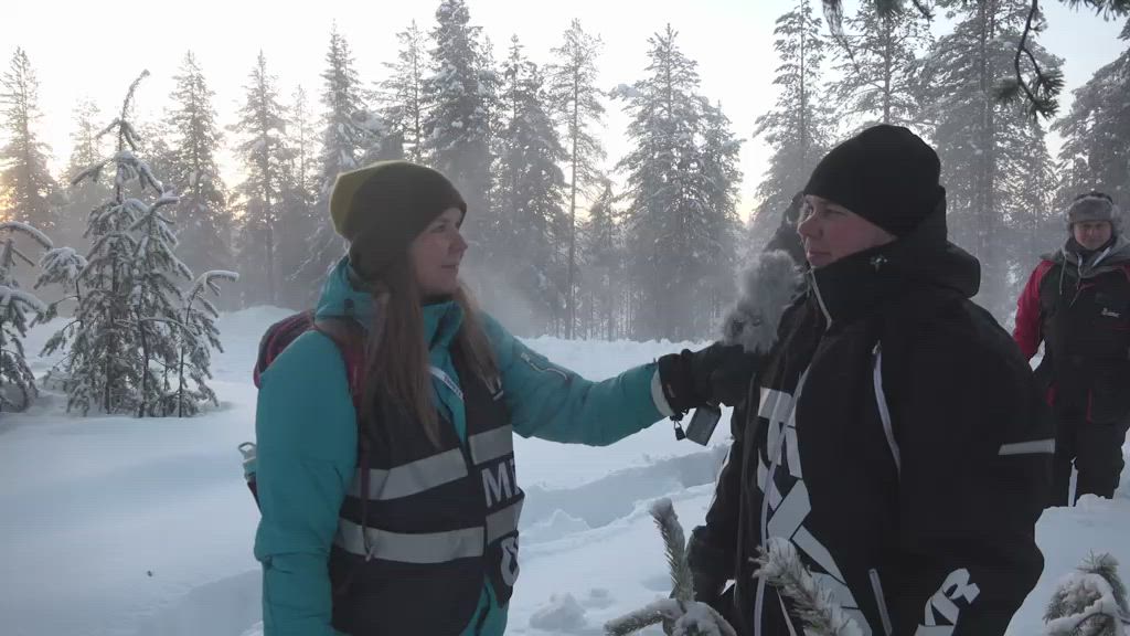 Arctic Rally: Kuskista katsojaksi