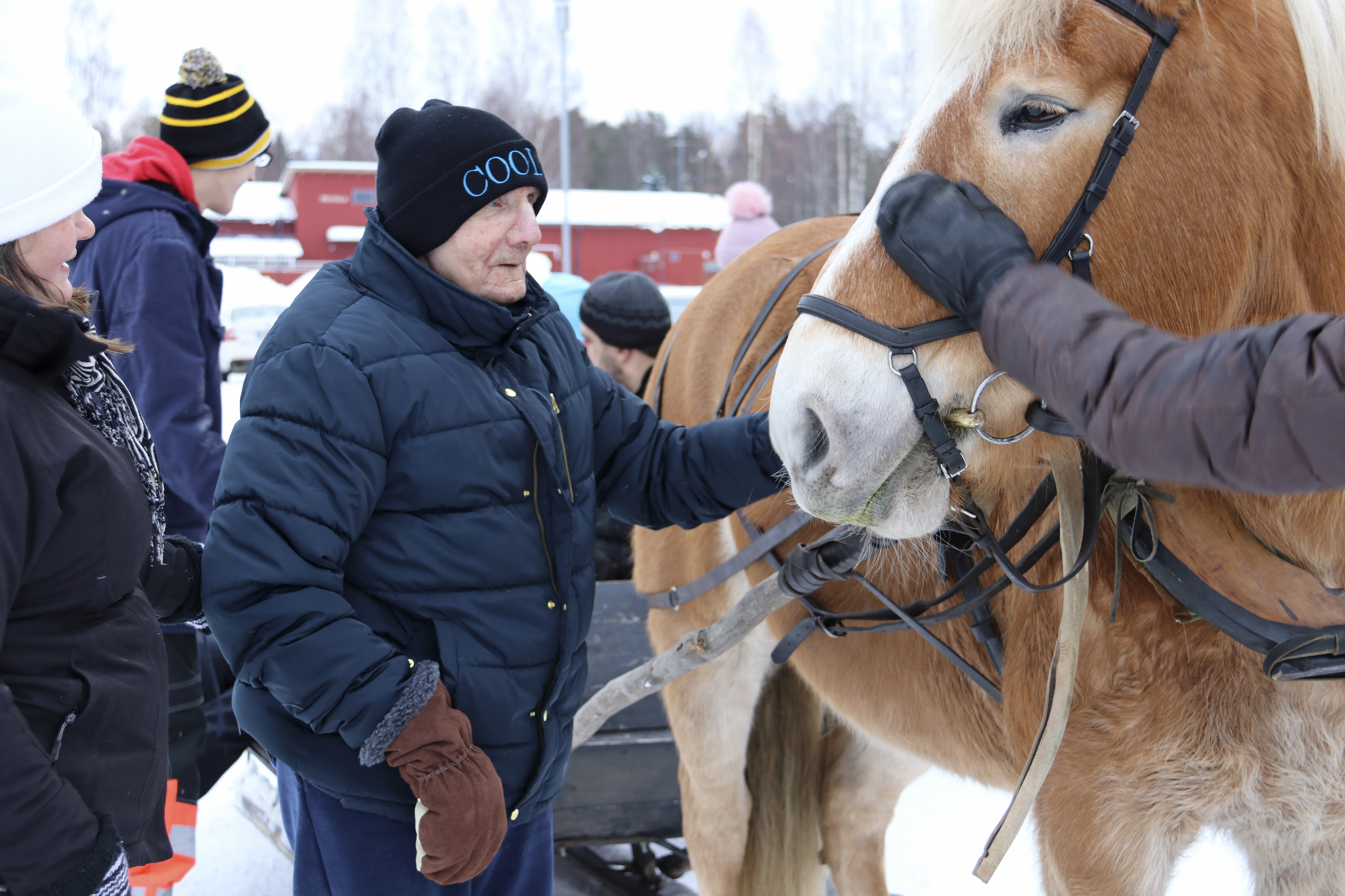 Leino Vähäkangas pääsi rekiajelulle. Vetojuhtana toimi Tupu-tamma. Moni kävi porisuttamassa hevosta ajelun päätteeksi.