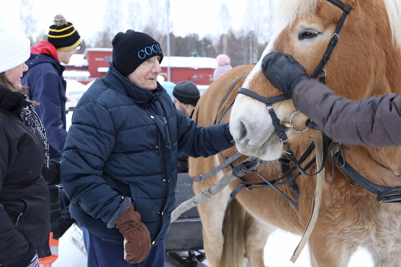 Leino Vähäkangas pääsi rekiajelulle. Vetojuhtana toimi Tupu-tamma. Moni kävi porisuttamassa hevosta ajelun päätteeksi.