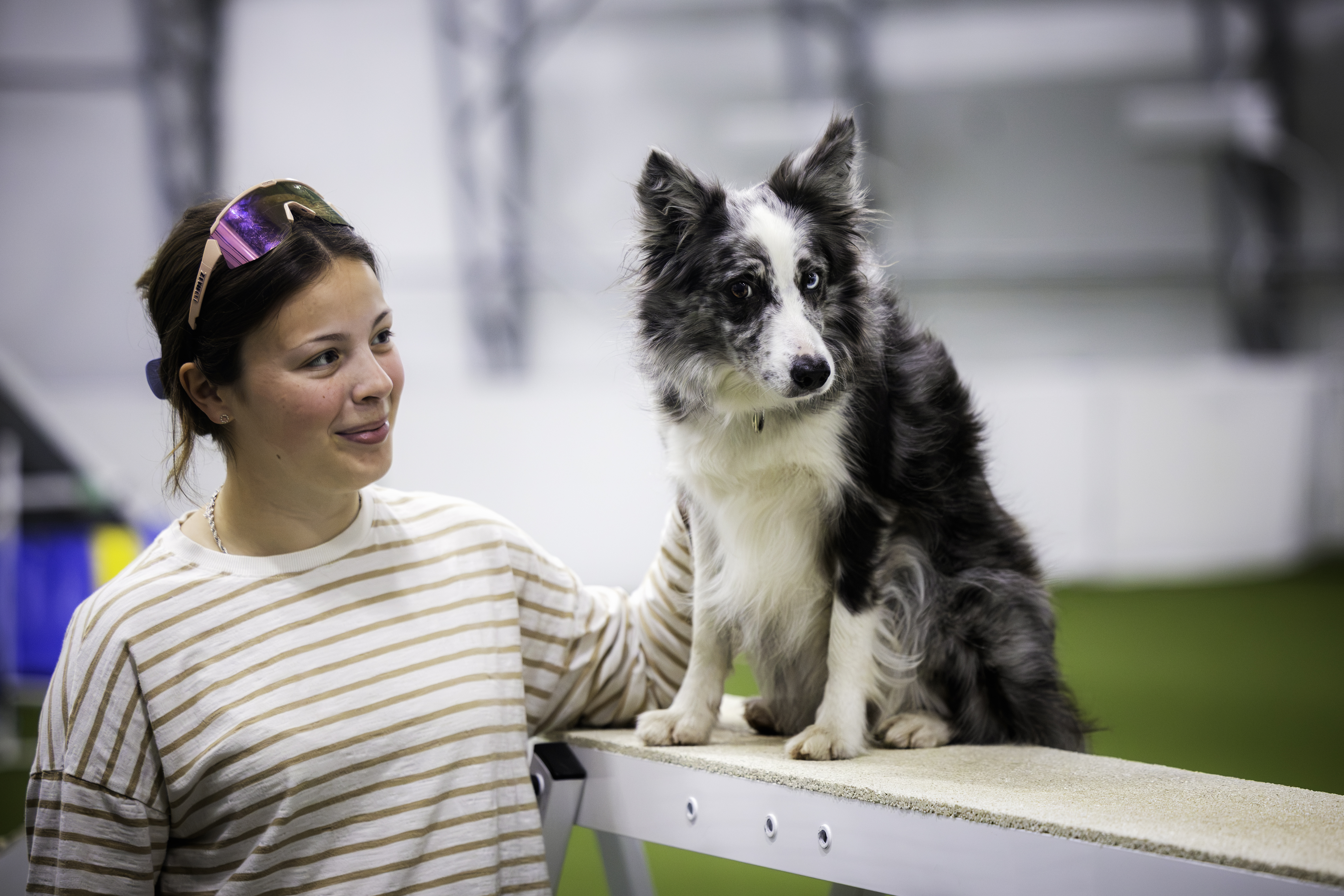 Emilia Lindström ja bordercollie Lix kisaavat agilityn MM-kotikisoissa – "Tiedän, että meidän taidot ja vauhti riittäisivät ihan mihin vaan"