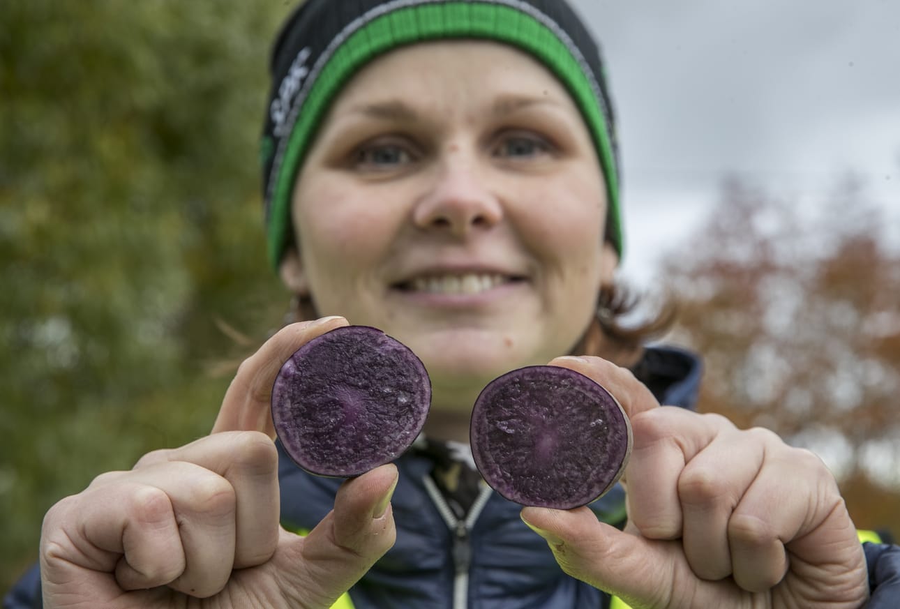 Tyrn‰v‰n perunoita